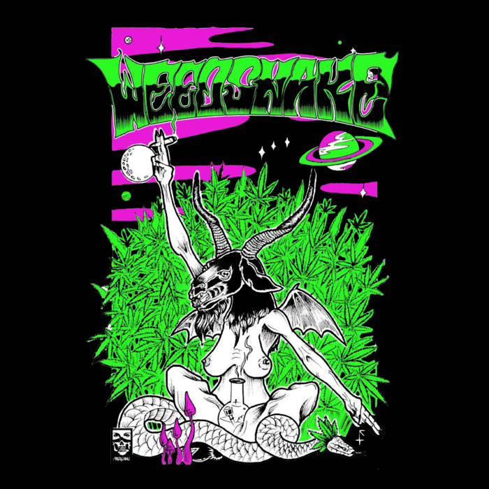 WEEDSNAKE - Into Sickness / Weedsnake EN VIVO cover 