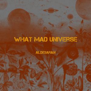 WHAT MAD UNIVERSE - Aldebaran cover 