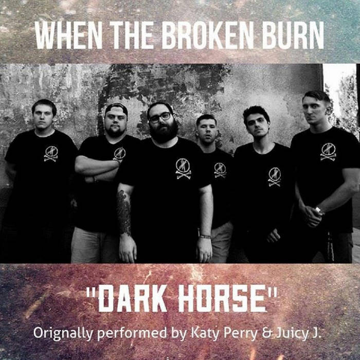 WHEN THE BROKEN BURN - Dark Horse​ cover 