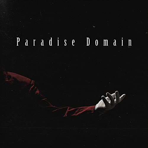 WHEN WE BURIED THE RINGMASTER - Paradise Domain cover 
