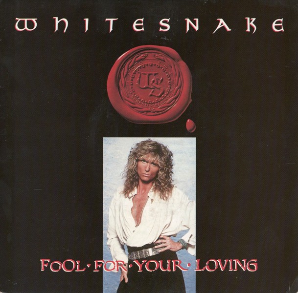 WHITESNAKE - Fool For Your Loving (1989) cover 