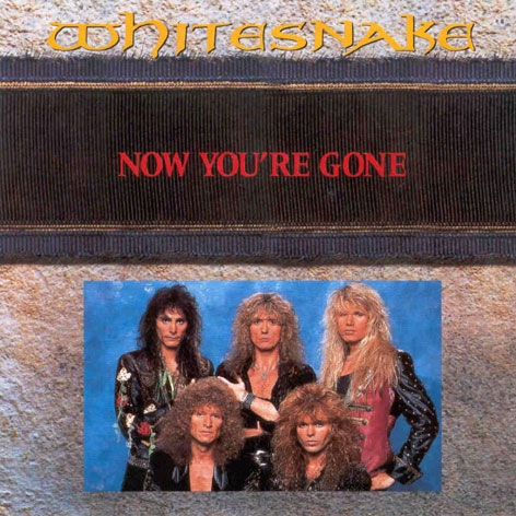 WHITESNAKE - Now You're Gone cover 