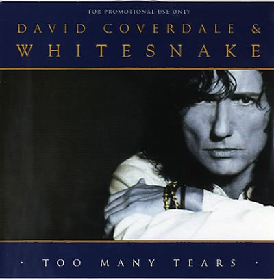 WHITESNAKE - Too Many Tears cover 