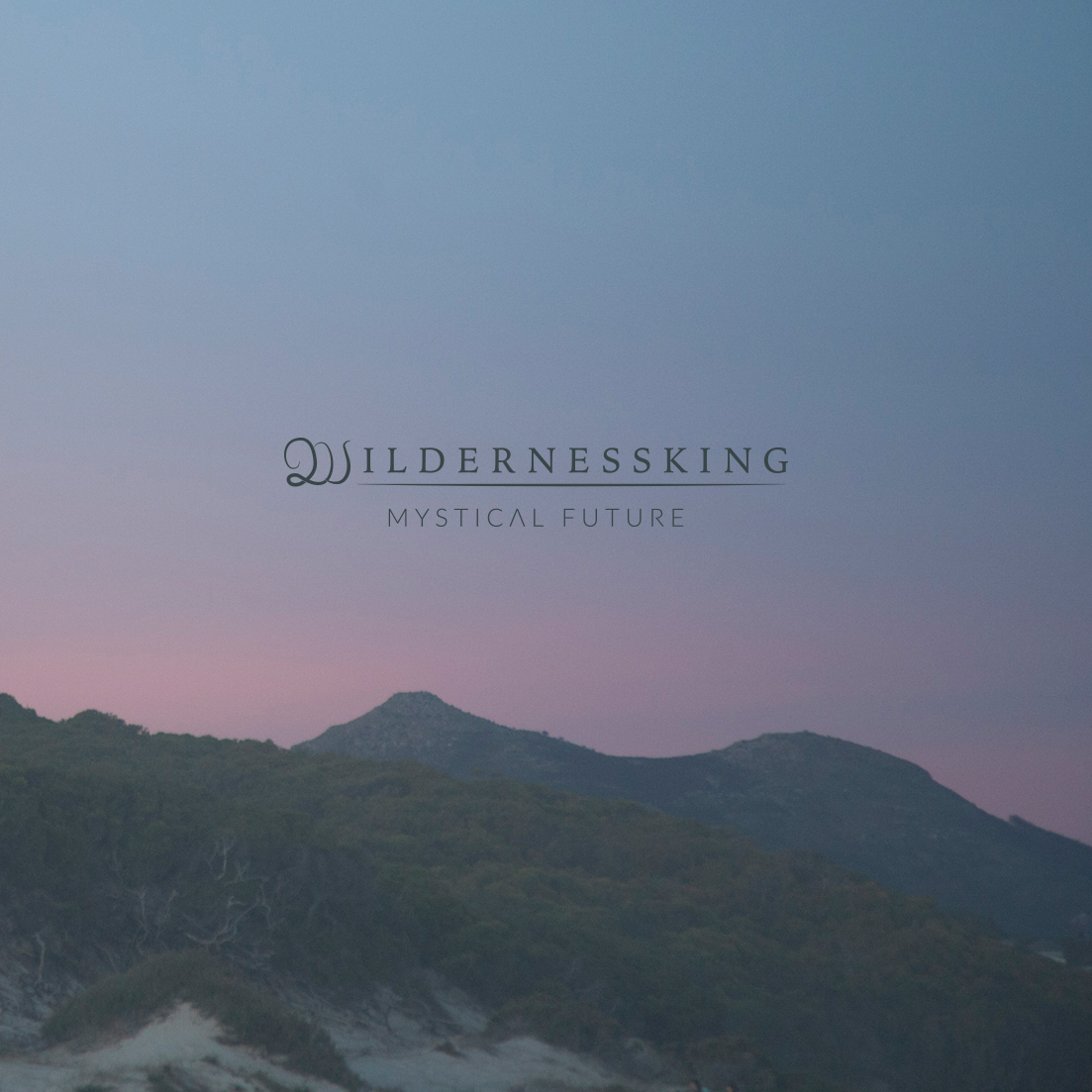 WILDERNESSKING - Mystical Future cover 
