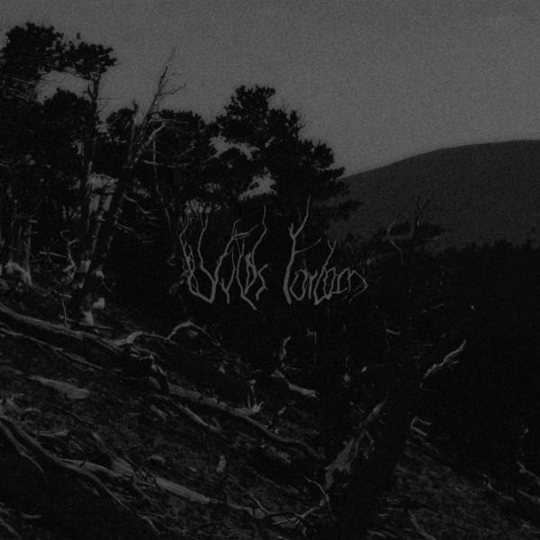 WILDS FORLORN - Bellum Omnium Contra Omnes cover 