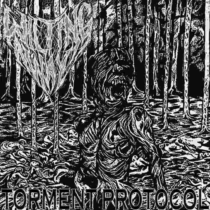 WILTING AWAY - Torment Protocol cover 
