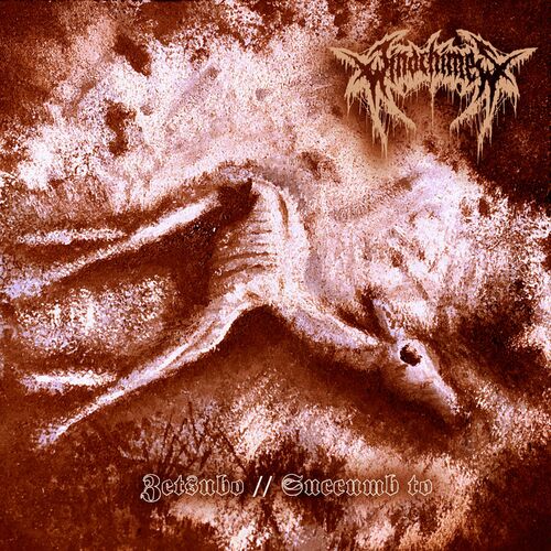 WINDCHIMES - Succumb To cover 