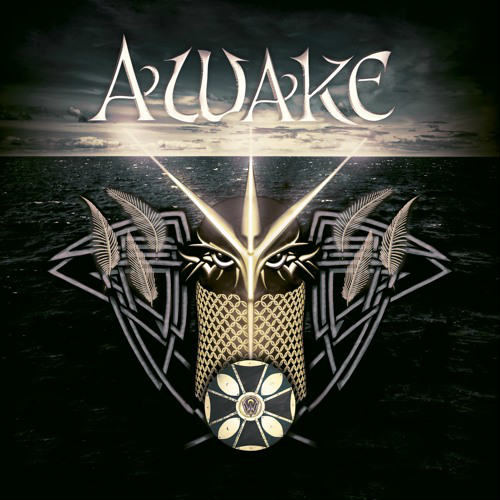 WINTER'S WAKE - Awake cover 