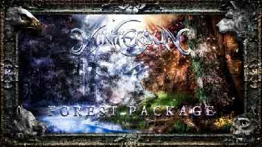 WINTERSUN - The Forest Package cover 