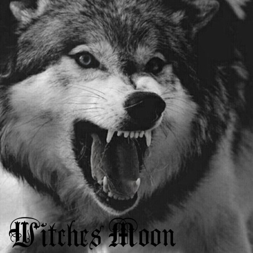WITCHES MOON - Demo cover 