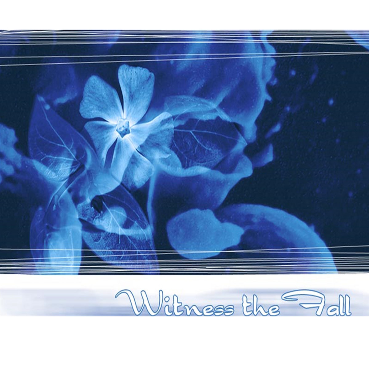 WITNESS THE FALL - Witness The Fall cover 