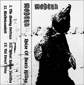WOJTEK - Noise Of Bears Killing cover 