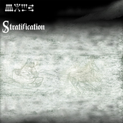 WOLD - Stratification cover 