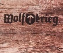 WOLFKRIEG - The Souls of Old Stones / Northern Tales: A Dungeon Tribute to Burzum cover 