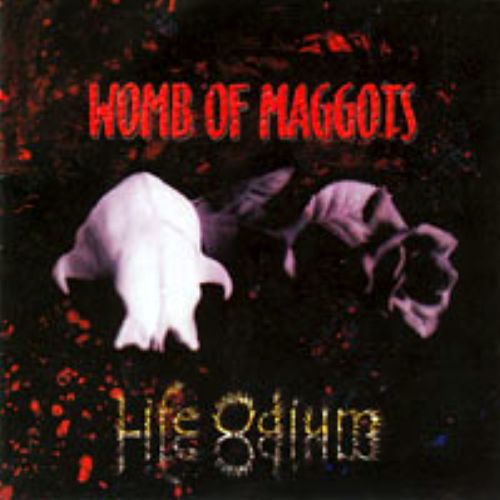 WOMB OF MAGGOTS - Life Odium cover 