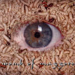 WOMB OF MAGGOTS - Womb Of Maggots cover 