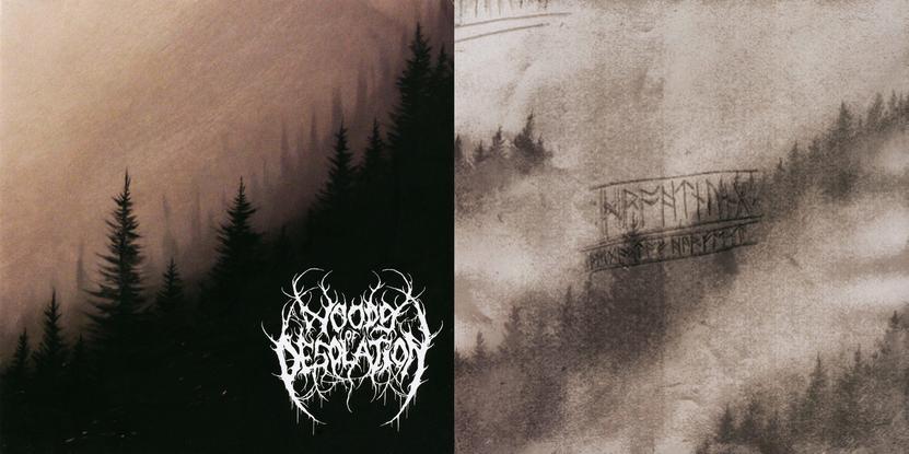 WOODS OF DESOLATION - Woods of Desolation / Drohtnung cover 