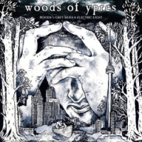 WOODS OF YPRES - Woods 5: Grey Skies & Electric Light cover 