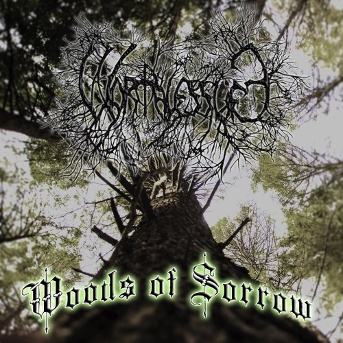 WORTHLESS LIFE - Woods of Sorrow cover 