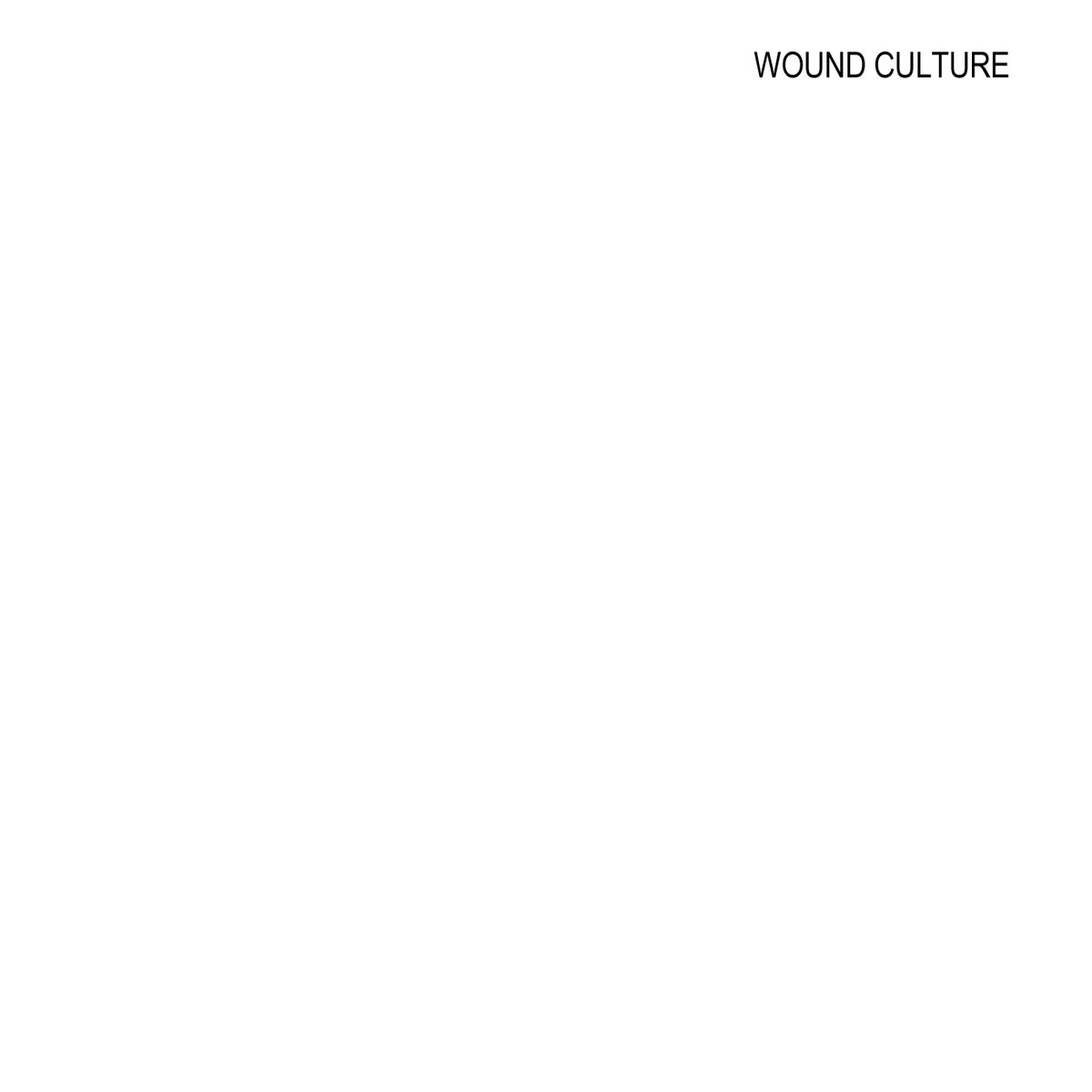 WOUND CULTURE - Demo 2016 cover 