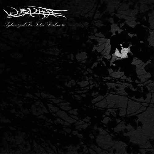 WRAITHE - Submerged in Total Darkness cover 