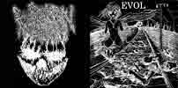 WTN - Wartorn Nation / Evol cover 