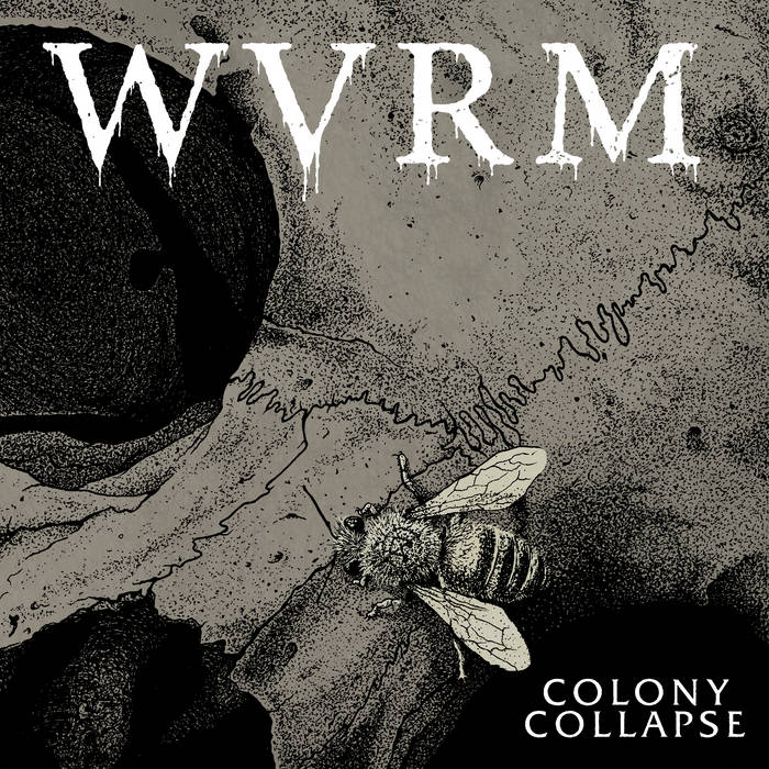 WVRM - Colony Collapse cover 