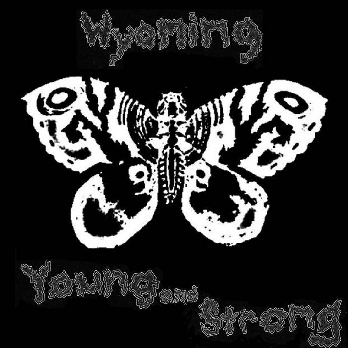 WYOMING YOUNG AND STRONG - Death And Ruin cover 