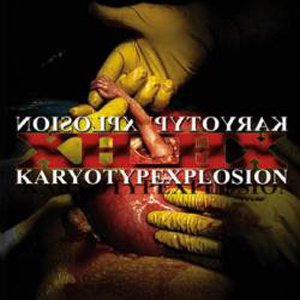 XHOHX - Karyotypexplosion cover 