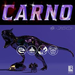 XO ARMOR - Carno cover 