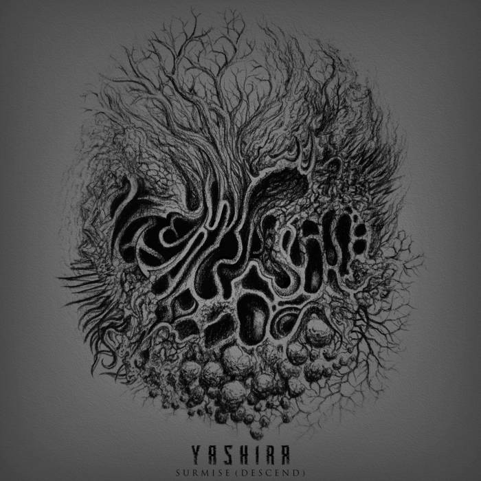YASHIRA - Surmise (Descend) cover 