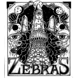 ZEBRAS - 2014 Demos cover 