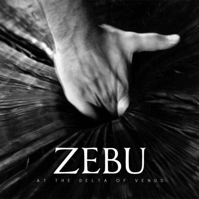 ZEBU - At The Delta Of Venus cover 