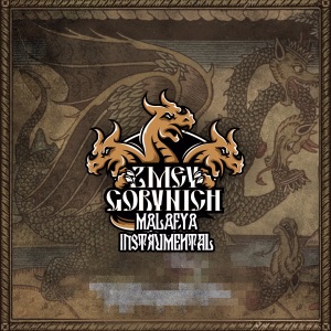 ZMEY GORYNICH - Malafya Instrumental cover 