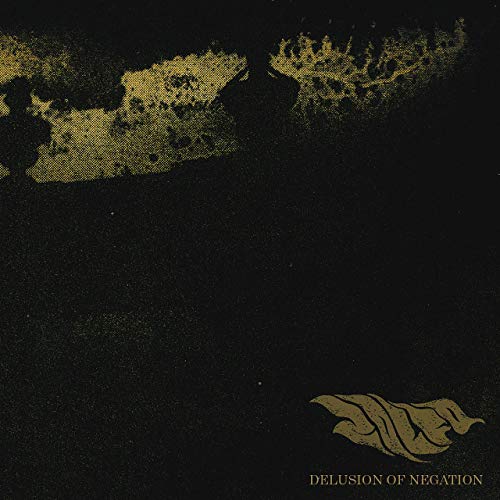 ZOLFO - Delusion Of Negation cover 
