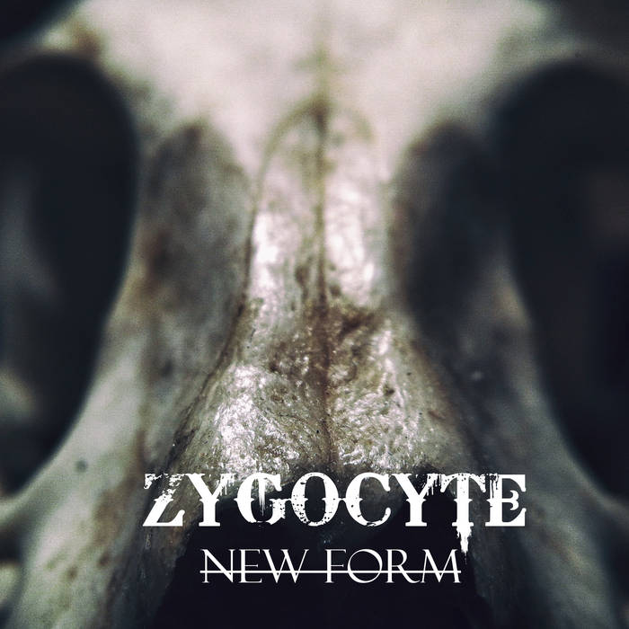 ZYGOCYTE - New Form cover 