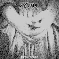 ZYLUM - Prayer For Nothing cover 