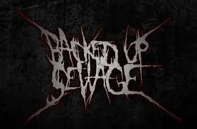 BACKED UP SEWAGE picture