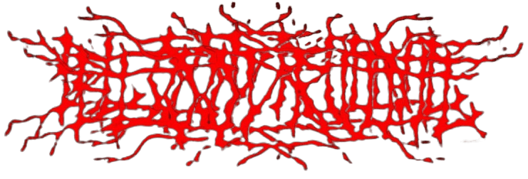 BLOODRUNE picture