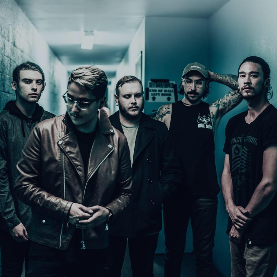 DAYSEEKER picture