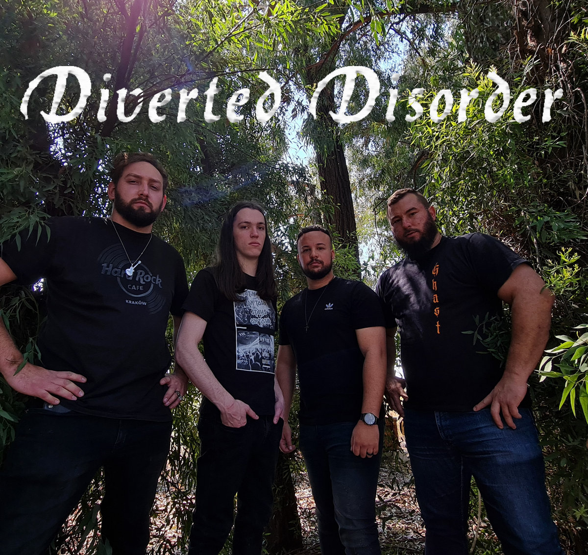 DIVERTED DISORDER picture