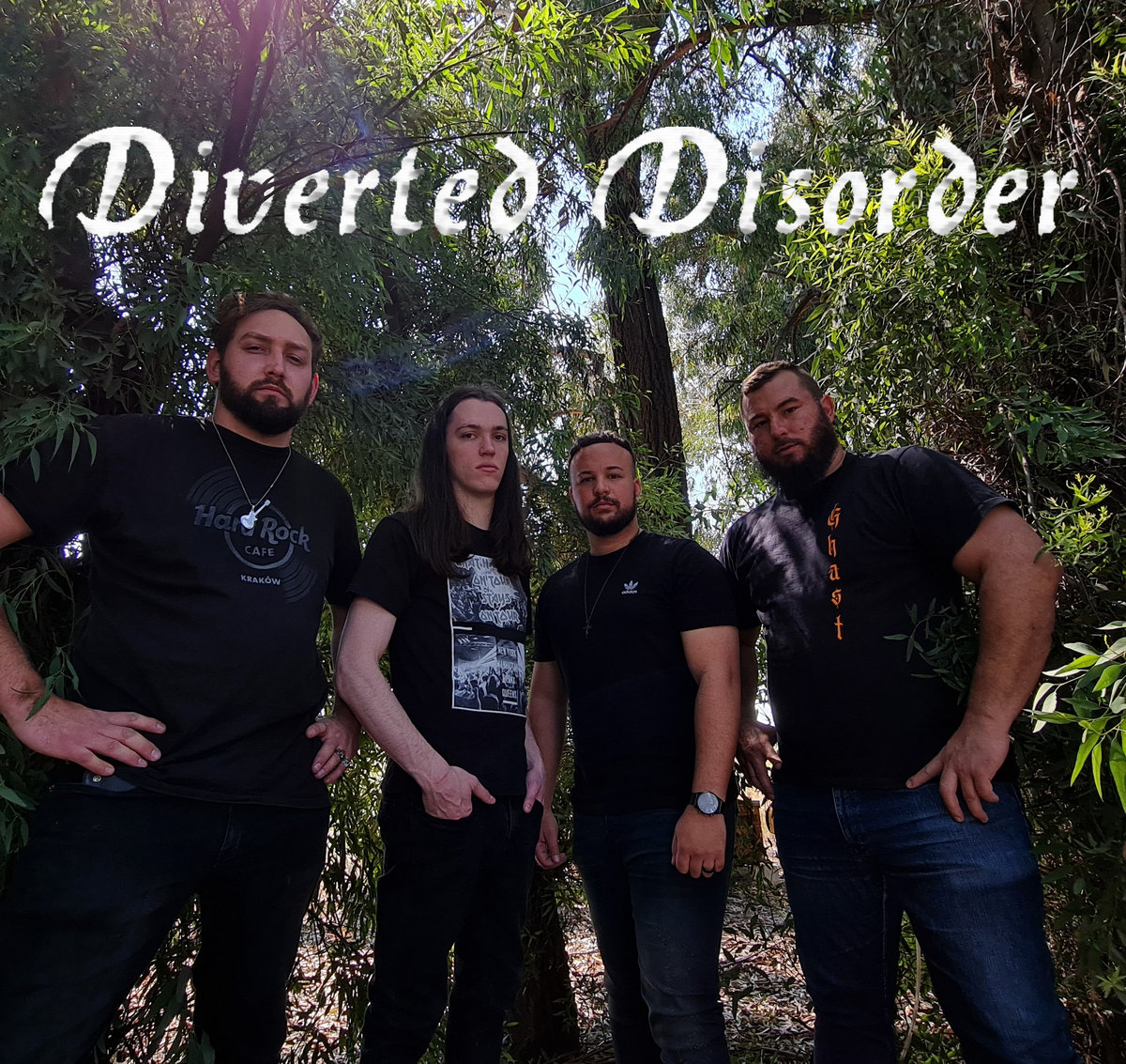 DIVERTED DISORDER picture
