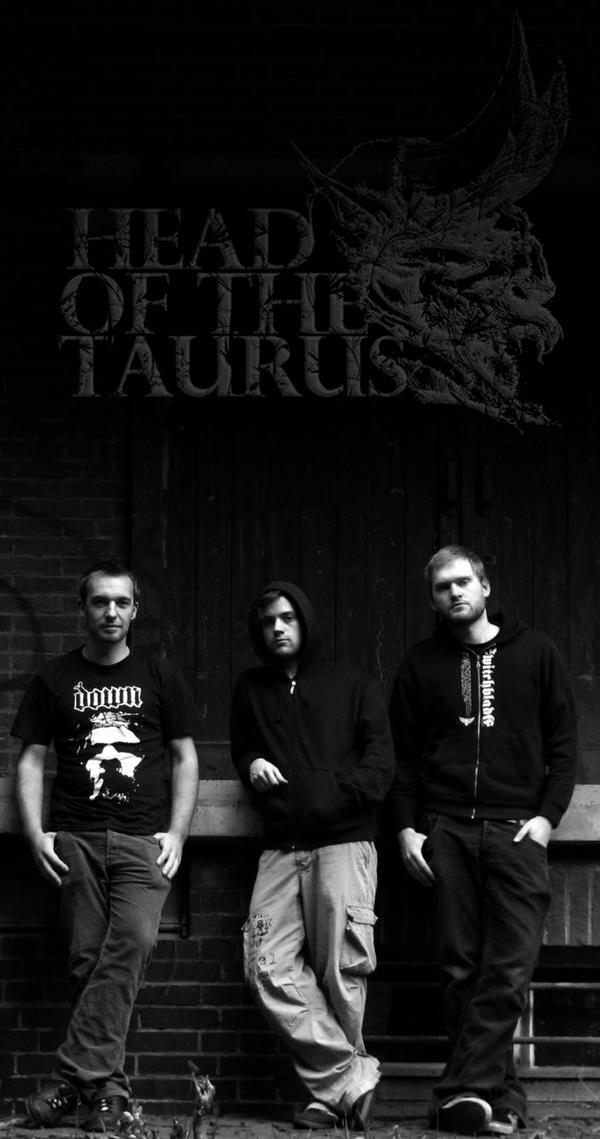 HEAD OF THE TAURUS picture