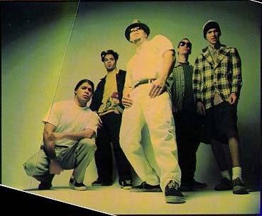 INFECTIOUS GROOVES picture