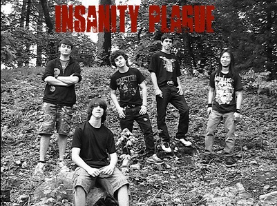 INSANITY PLAGUE picture