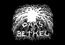 OAKS OF BETHEL picture