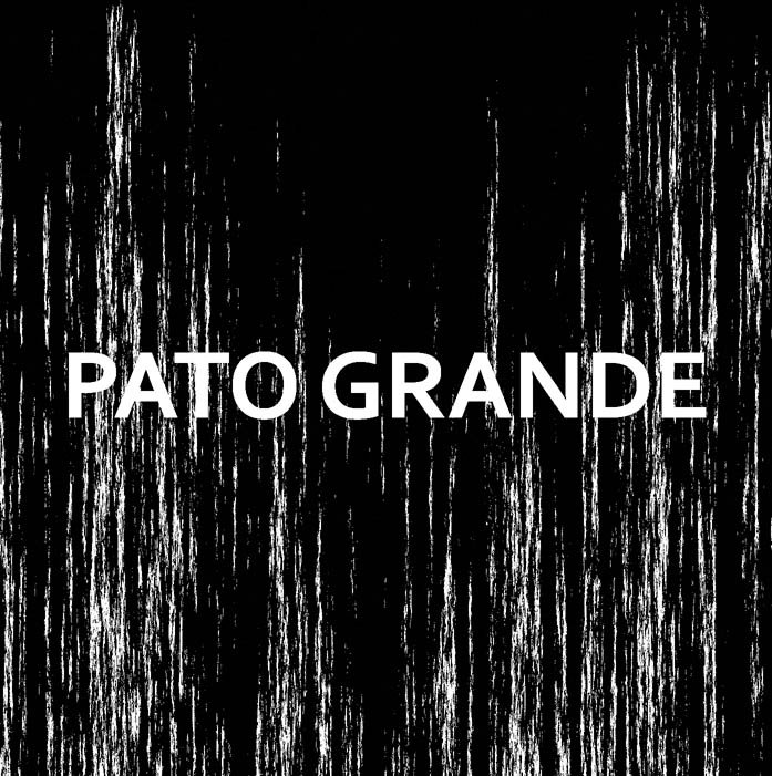 PATO GRANDE picture