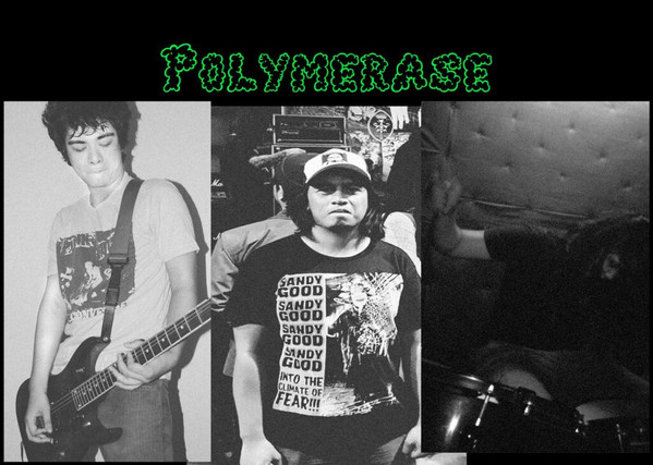 POLYMERASE picture