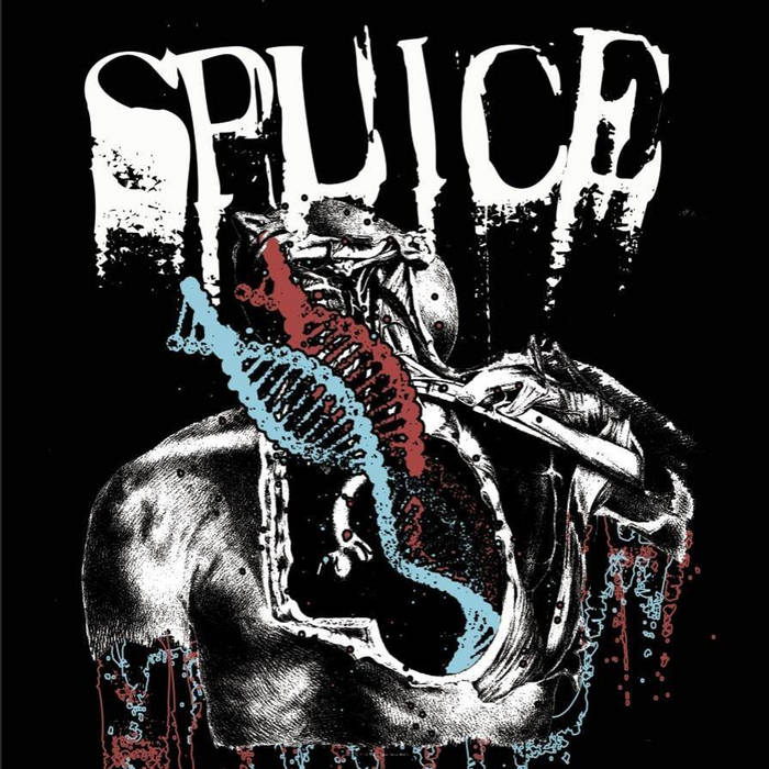 SPLICE (USA) picture