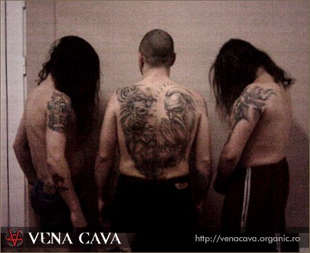 VENA CAVA picture